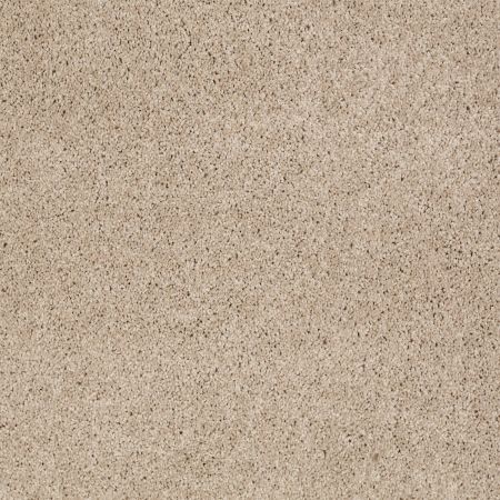 Shaw Floors SFA Source II Ice Coffee