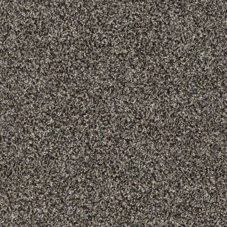 Shaw Floors Simply The Best Nature Essence Goal Post