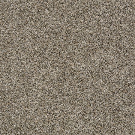 Shaw Floors Value Collections Breathe & Reflect Net Champion