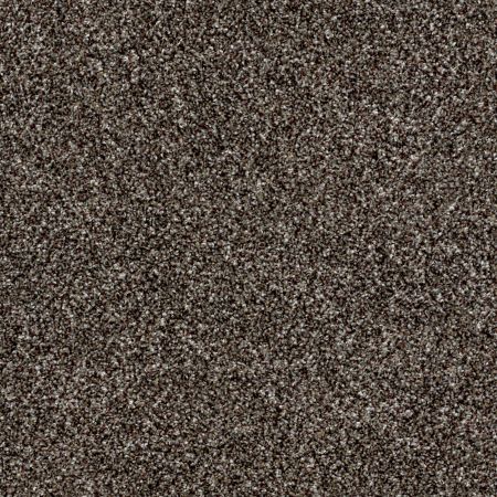 Shaw Floors Value Collections Breathe & Reflect Net Mushroom