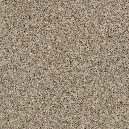 Shaw Floors Value Collections Nature Essence Net Moonlit Sand
