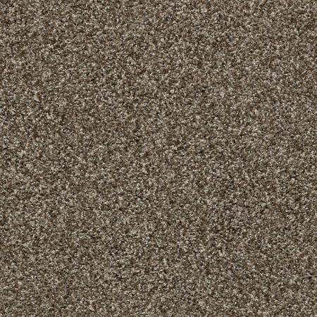 Shaw Floors Value Collections Nature Essence Net Sweet Tea