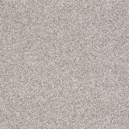 Shaw Floors Value Collections Exploration Net Silver Charm