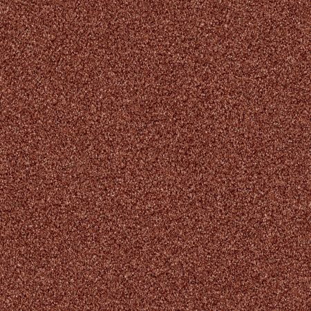 Shaw Floors Value Collections Exploration Net Copper