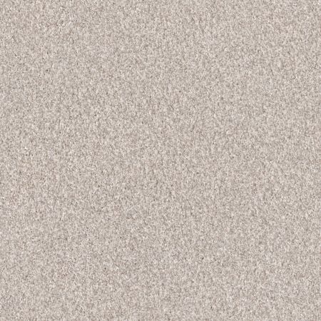 Shaw Floors SFA Grandiose Gallery Opening