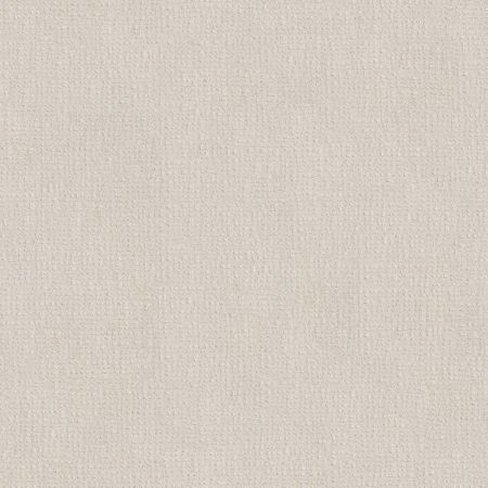 Shaw Floors SFA Vivid Memories Champagne Toast