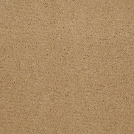 Philadelphia Commercial Equity Baytown II 36 Camel