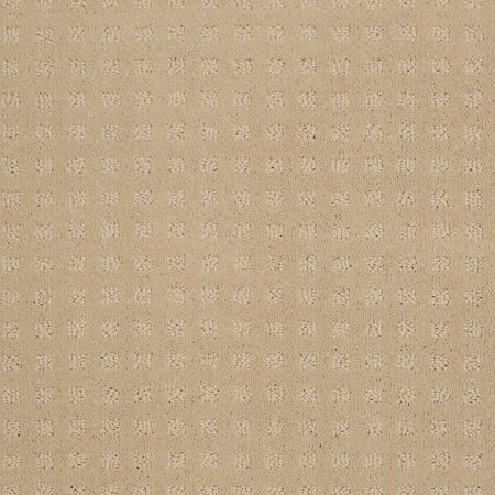 Shaw Floors Shaw Floor Studio Style With Ease Abalone