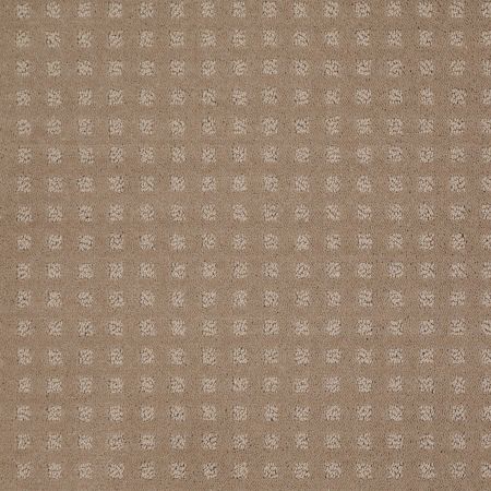 Shaw Floors Shaw Floor Studio Style With Ease Chameleon