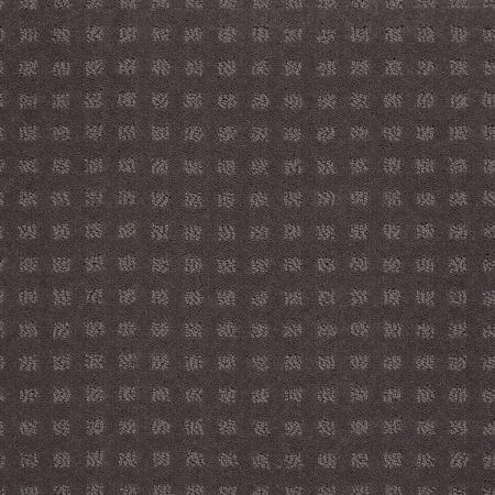 Shaw Floors Shaw Floor Studio Style With Ease Stainless