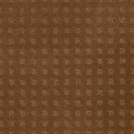 Shaw Floors Shaw Floor Studio Style With Ease Pebble Creek