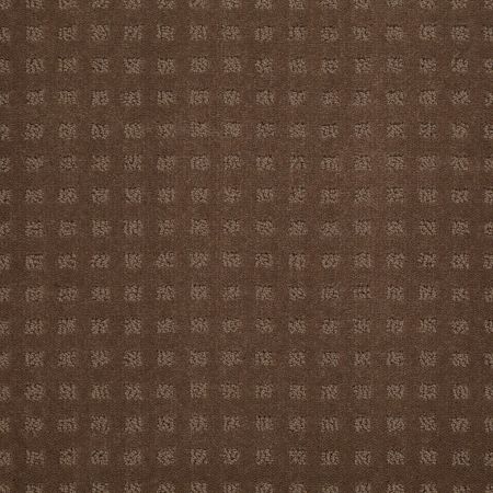 Shaw Floors Shaw Floor Studio Style With Ease Driftwood