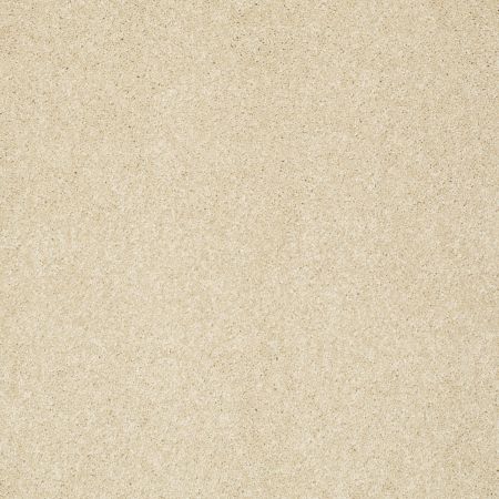 Shaw Floors Shaw Floor Studio Complete Hold I Canopy