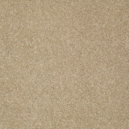 Shaw Floors Shaw Floor Studio Complete Hold I Cobblestone