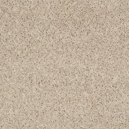 Shaw Floors Shaw Floor Studio Complete Allure (s) Brandon Beige
