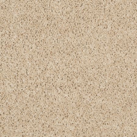 Shaw Floors Shaw Floor Studio Complete Allure (s) Cashmere