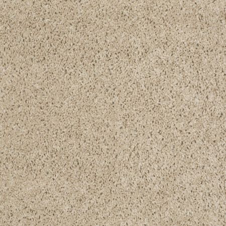 Shaw Floors Shaw Floor Studio Complete Allure (s) Meadow Mist