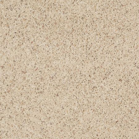 Shaw Floors Shaw Floor Studio Complete Allure (b) Warm Shadow