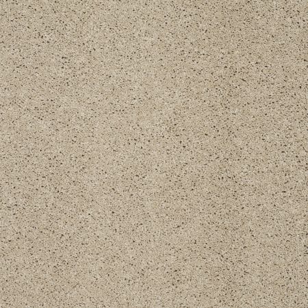 Shaw Floors Shaw Floor Studio Around The House III Stucco