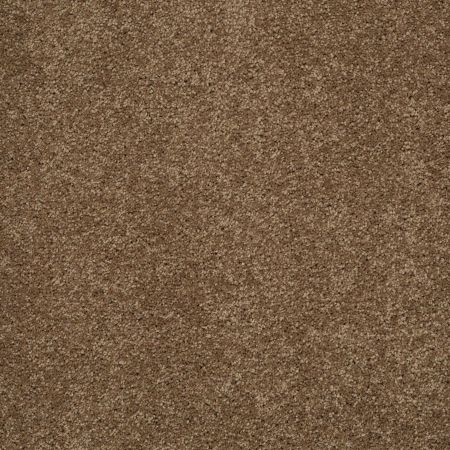 Shaw Floors Shaw Floor Studio Around The House III Bonsai