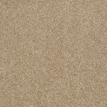 Shaw Floors Shaw Floor Studio Gelato Natural Wood