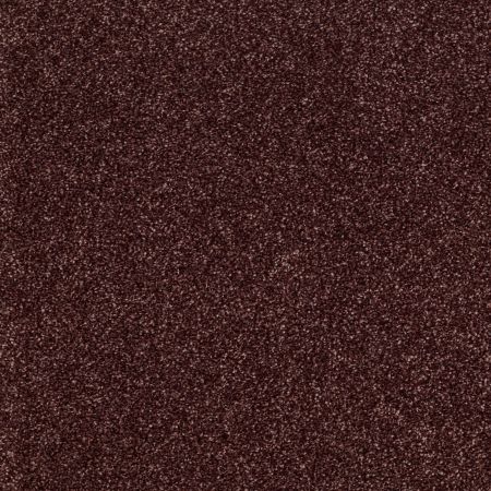 Shaw Floors Shaw Floor Studio Gelato Berry