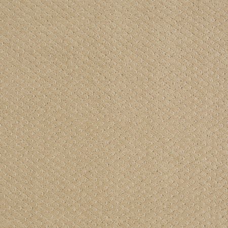 Shaw Floors Shaw Floor Studio Life Lessons Fieldstone