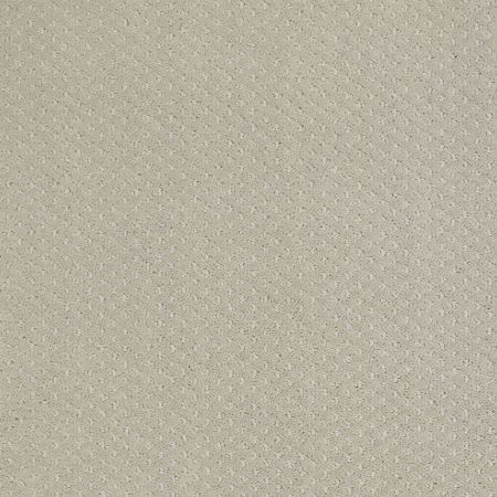 Shaw Floors St Jude Brave Heart Nickel