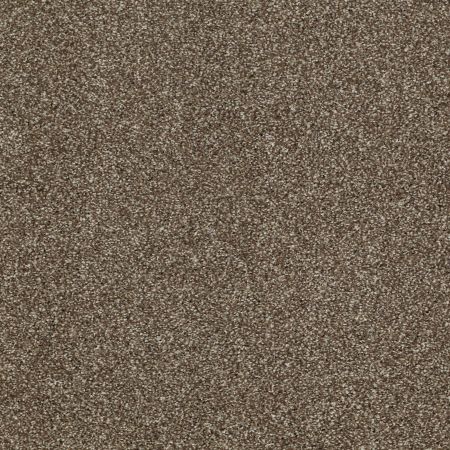 Shaw Floors St Jude Vacation Day Fudge Ripple