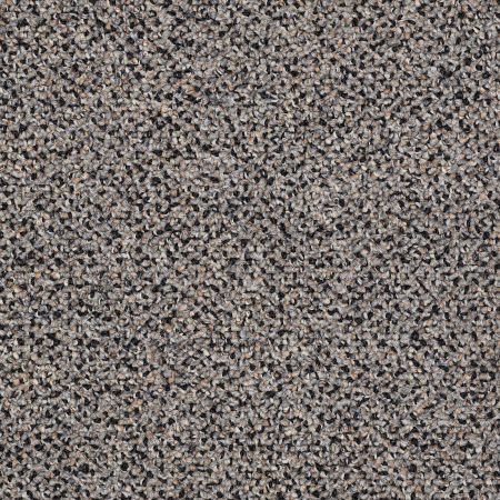 Philadelphia Commercial Sable Island Wild Horses