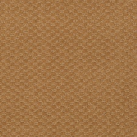 Philadelphia Commercial QUEEN COMMERCIAL Elements Grand Teton Tan