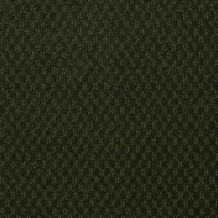 Philadelphia Commercial QUEEN COMMERCIAL Elements Tall Evergreen