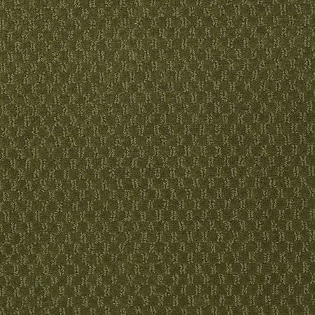 Philadelphia Commercial Latest Trend Woodland