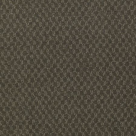 Philadelphia Commercial Latest Trend Lily Pond