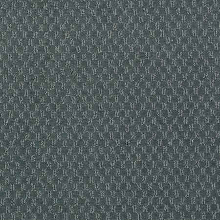 Philadelphia Commercial Latest Trend Willow Hedge