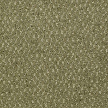 Philadelphia Commercial QUEEN COMMERCIAL Elements Desert Cactus