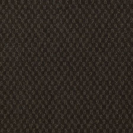 Philadelphia Commercial QUEEN COMMERCIAL Elements Jungle Vine