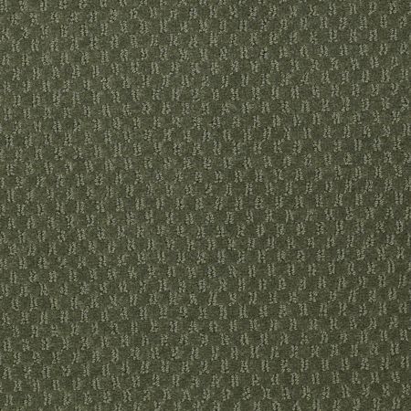 Philadelphia Commercial QUEEN COMMERCIAL Elements Pale Forest