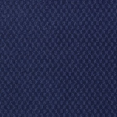 Philadelphia Commercial Latest Trend Blue Clover