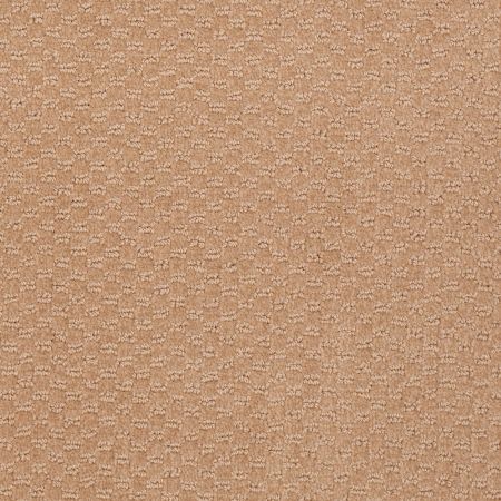 Philadelphia Commercial QUEEN COMMERCIAL Elements Paper Sack