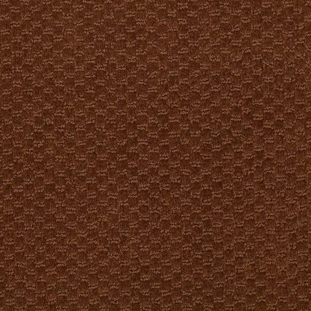 Philadelphia Commercial Latest Trend Brown Bear