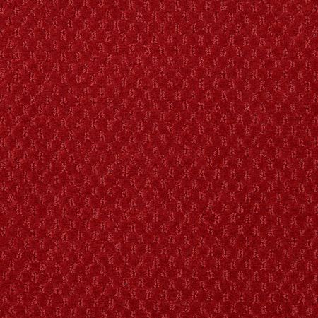 Philadelphia Commercial Latest Trend Paprika