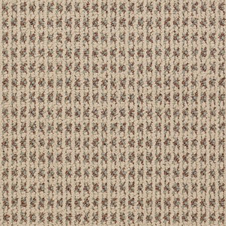 Philadelphia Commercial Modern Traditions Camel