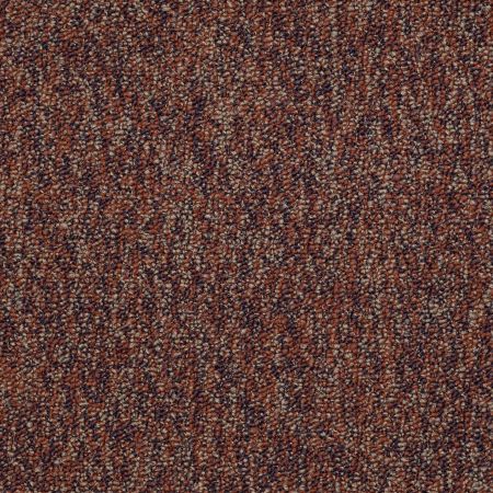 Philadelphia Commercial No Limits 26 Dynamic