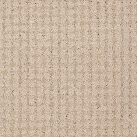 Philadelphia Commercial SNAPSHOT Live Hope