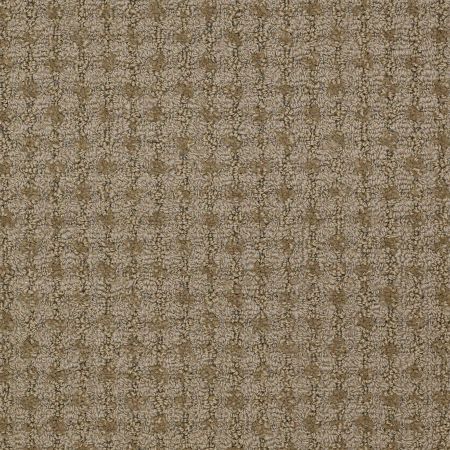 Philadelphia Commercial SNAPSHOT Metro Life Bus Stop