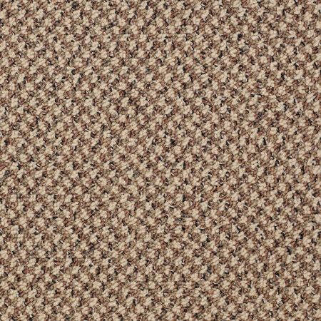 Philadelphia Commercial New Basics Preeminence