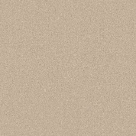 Shaw Floors SHAW FLOORING GALLERY Truly Modern I 12' Pudding