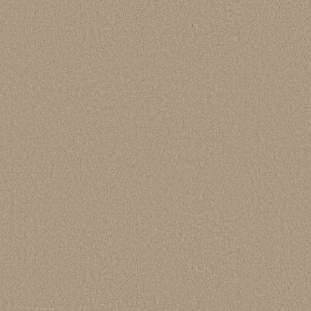 Shaw Floors Sandy Hollow I 12' Oatmeal