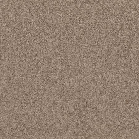 Shaw Floors Magic At Last I 12' Balanced Beige